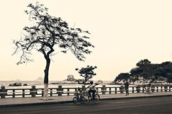 Phố, những ngày rất khác!