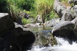 Sơn La: Đôi nam nữ đã có vợ chồng rủ nhau ra bờ suối tự tử