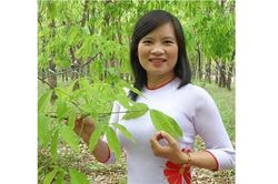Em về với biển