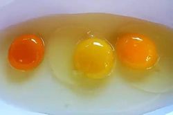 Xử phạt nhân viên y tế vì đăng tin uống trứng gà chống dịch Covid-19