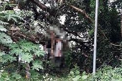 Để lại 3 lá thư tuyệt mệnh, chồng sát hại 'vợ' rồi tự tử