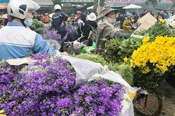 Khẩn cấp yêu cầu những người tới chợ hoa Mê Linh báo ngay cơ quan y tế