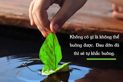 Phật dạy: Muốn hạnh phúc, hãy buông bỏ 2 điều