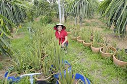 Hạt nhân của phong trào phụ nữ