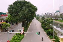 Dịch bệnh Covid-19 có thể bùng phát trở lại nếu nới lỏng