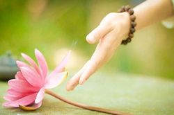 Phật dạy: Chỉ cần làm điều này thường xuyên sẽ hết gặp xui xẻo, được hạnh phúc