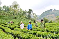 Năm 2021, người dân xã an toàn khu được hỗ trợ thẻ BHYT