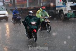 Miền Tây đón mưa 'vàng' giải hạn
