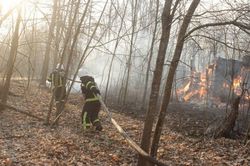 Ukraine: Cháy rừng vẫn tàn phá khu vực gần nhà máy hạt nhân Chernobyl