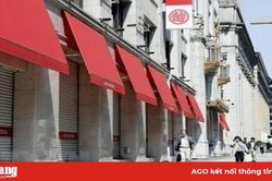 Nhật Bản: Tỉnh thứ 3 tự ban bố tình trạng khẩn cấp do COVID-19