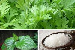 Liệu pháp hay chữa đau mỏi vai gáy