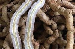 Ba kích bổ nhưng không phải ai cũng dùng được