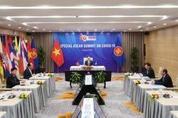 Việt Nam sẽ tiếp tục hỗ trợ các nước có dịch bệnh