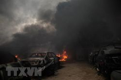 Dịch COVID-19 xuất hiện ở Libya, LHQ kêu gọi chấm dứt thù địch