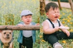 Được chụp ảnh bên 'bạn chó' đáng yêu nhưng cậu nhóc lại khóc lóc vật vã khiến dân mạng 'phát sốt'