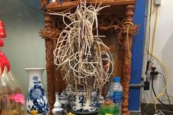 Bảo vợ đi mua đồ về thắp hương xin lộc, anh chồng 'choáng váng' với thứ cô nàng đặt trên bàn thờ