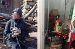 Sống với cha già nhưng cặp vợ chồng lại làm hành động 'ghê tởm' này khiến cô em chồng giận đến 'run người'