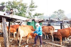Một cán bộ phụ nữ Raglai giỏi