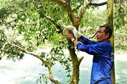 Những người mê chim trời