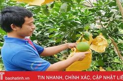 Người dân Hà Tĩnh 'khoác áo' cho bưởi đặc sản phòng trừ sâu bệnh