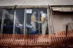 WHO vẫn coi dịch Ebola tại CHCD Congo là tình trạng khẩn cấp toàn cầu