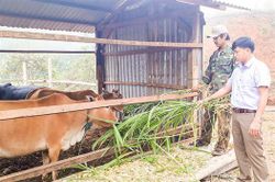 Hết lòng với công tác hội