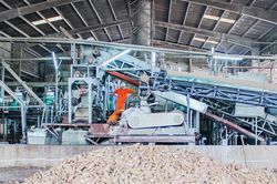 Nhà máy tinh bột sắn Hướng Hóa: Tồn kho 25.000 tấn tinh bột sắn nhưng vẫn mua sắn giúp dân