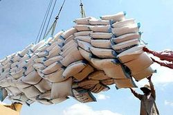 Sở Công Thương Cần Thơ kiến nghị giải quyết hàng chục nghìn tấn gạo 'nằm cảng'