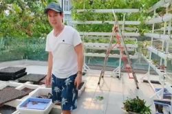 Vườn rau xanh tại biệt thự của gia đình Lý Hải