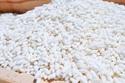 Bộ Nông nghiệp kiến nghị tiếp tục cho xuất khẩu gạo nếp