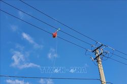 Liên tiếp xảy ra chập, cháy nổ điện nguy hiểm vì thả diều gần đường điện cao áp