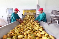 Mở rộng thị trường xuất khẩu nông sản giữa Covid-19
