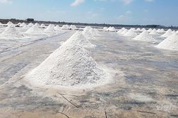 Muối trúng mùa, diêm dân bội thu