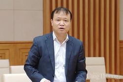 Phải có tầm nhìn xa hơn về phát triển công nghiệp Alumin và nhôm ở Việt Nam