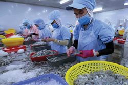 Nông nghiệp Việt Nam: Tìm cơ hội trong thách thức