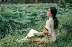 Mùa sen về trên đất cố đô