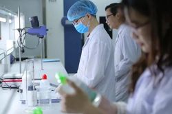 ĐH tốp đầu 'liên minh' tuyển sinh nếu không thi THPT quốc gia