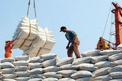 Xuất khẩu gạo: Tổng cục Hải quan lý giải vì sao mở tờ khai lúc 0 g ngày 12/4