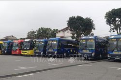 Hướng dẫn vận chuyển hành khách tại địa phương có nguy cơ thấp về dịch