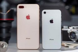 Ra mắt iPhone SE mới, Apple thẳng tay 'khai tử' 2 mẫu iPhone cũ