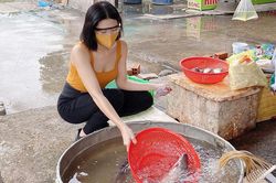 Thúy Ngân: 'Tôi chăm đi chợ, giỏi nấu ăn hơn khi về quê'