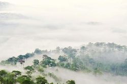 Trời không đủ chỗ cho MÂY