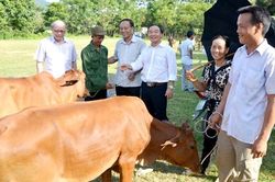 Người 'vác tù và hàng tổng'