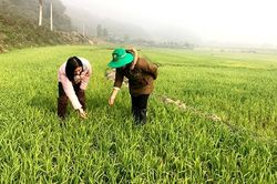 Huy động nguồn lực phòng ngừa và ứng phó hiệu quả tai nạn tàu, thuyền trên biển