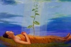 Điềm triệu - thực tế và văn chương