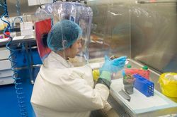 Viện Virus học Vũ Hán bác cáo buộc phát tán SARS-CoV-2