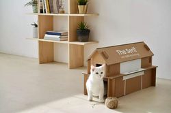 Độc đáo ý tưởng biến vỏ thùng tivi thành nhà thú cưng, giá để sách báo