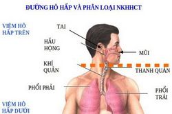 Các loại nước uống hỗ trợ trị bệnh lây qua đường hô hấp