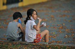 TP.HCM lãng mạn mùa hoa chò rơi