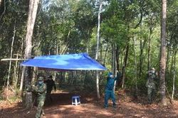 'Lá chắn' ngăn dịch bệnh ở Nam Tây Nguyên